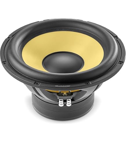 Amazon.com: Focal Sub P 20 FSE 8